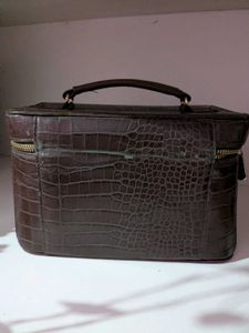 Stylish Croco Vanity Bag