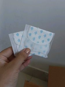 Plush Ultra Thin Sanitary Pads