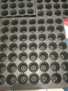 Seedling Trays - Pack of 3