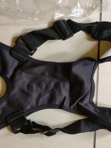 REALDOCTOTERS+ POSTURE SUPPORT BRAce