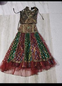 Embellished Lehenga Choli Set