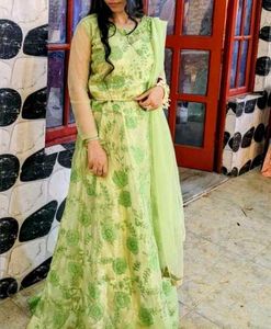 Beautiful Green Lehnga Type Gown Crop Top