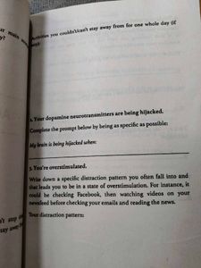 Dopamine Detox Book