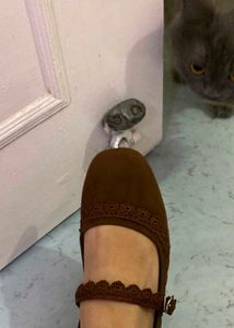 Chic Brown Ballerina Flats