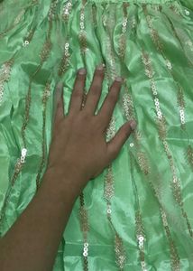 Beautiful Green Sequined Lehenga Choli