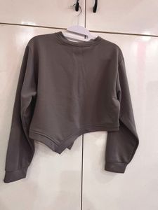 MIT Crop Sweatshirt