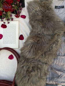 Hollywood Faux Fur Vest