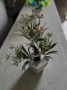 Miniature White Flower Arrangement