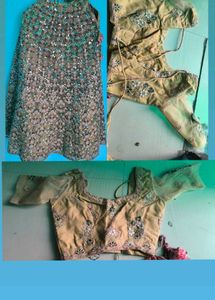 Designer Sequined Lehenga Choli Set with dupatta