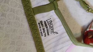 Striped Padded Bras (Set of 3)