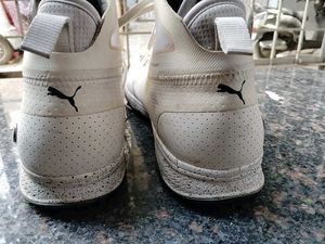 Puma BMW High-Top Sneakers