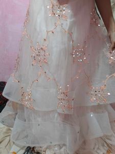 Gorgeous Lehenga Choli