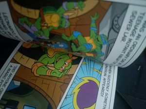 Teenage Mutant Ninja Turtles x Hello Kitty Book