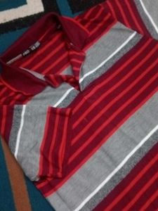 Striped Polo T-Shirt