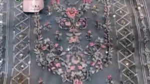 Organza Pakistani Suit Brand New