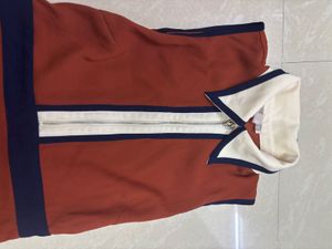 Retro Charm Rust Orange &amp; Navy Collared Skater Dre