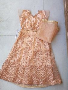 Peach Embroidered Lehenga Choli