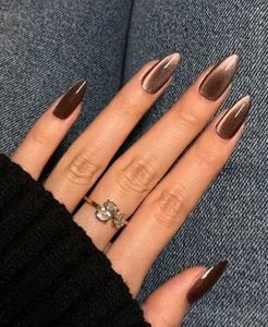 mocha velvet cateye nails