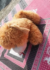 Soft Toy Dog