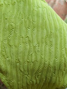 Textured Lime Green Bikini Bottom