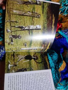 MP Tribal Museum Book