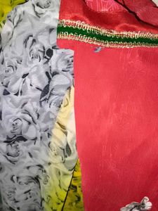 Elegant Embellished Saree