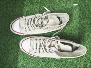 Converse All star sneakers