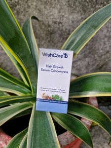 WishCare Hair Growth Serum Concentrate