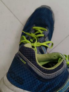 Adidas Climacool Running Shoes
