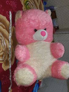 Huge Big Teddy