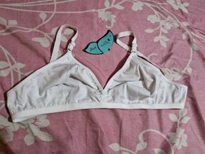 38 / 95cm / B Cup New Innerwear
