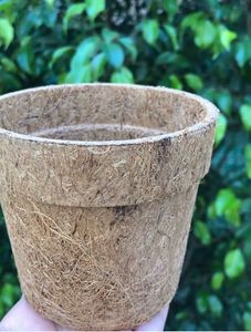 DIY Sow and Grow Kit - Cosmos Seeds