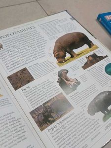 DK Illustrated Family Encyclopedia Volume 7