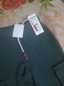 Brand New Trouser