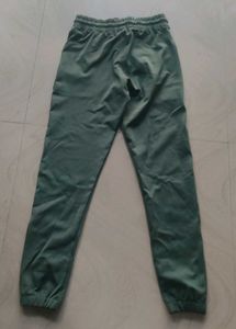 Stylish Green Joggers