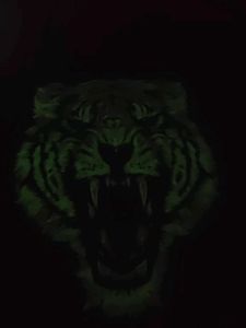 Men's Black Tiger Graphic T-Shirt night glow