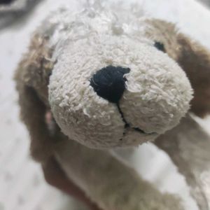 cozy puppy plushie