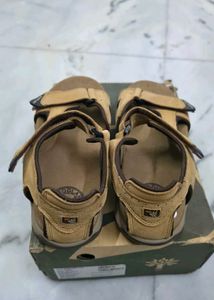 Woodland Men's Tan Sandal