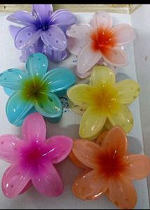 ⭕️Set Of 12! Trendy Hibiscus Claw Clips