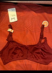 Cygnet Maroon T-Shirt Bra