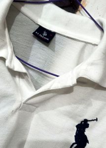 M Size T Shirt