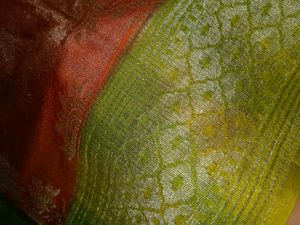 Elegant Orange Saree with Green Border