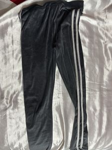Velvet Gym Pants
