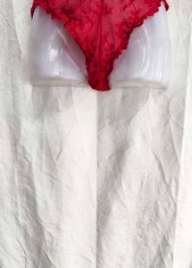 I. Red Lace Bikini Briefs