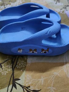 Comfortable Blue Flip-Flops