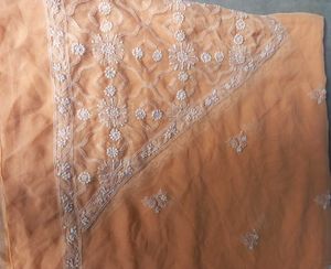 Elegant Embroidered Peach Dupatta