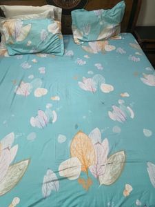 Beautiful Leaf Print Bedsheet Set