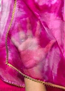 Pink Tie-Dye Organza Silk Saree