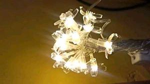 14 LED 3 Meter Warm White Silicone Blossom Flower
