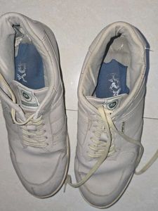 Urgent SELL Beige Casual Sneakers